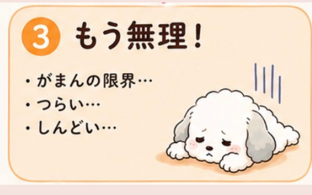 過食症からのダイエット。ガマンの連続で限界に。