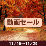 【11/20まで】秋の動画セール（摂食障害/太らない食べ方/開業/ブログ）